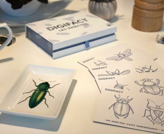 DIGIFACT - Les faits surprenants sur les insectes