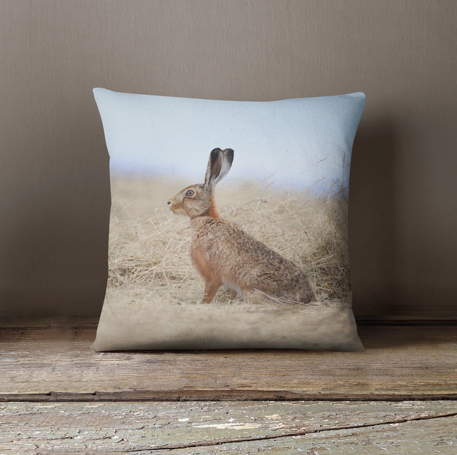 “Henry Hare” Cushion