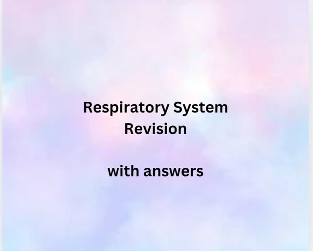 Respiratory System Revision