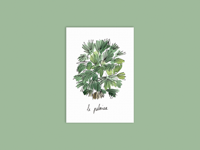 Carte palmier