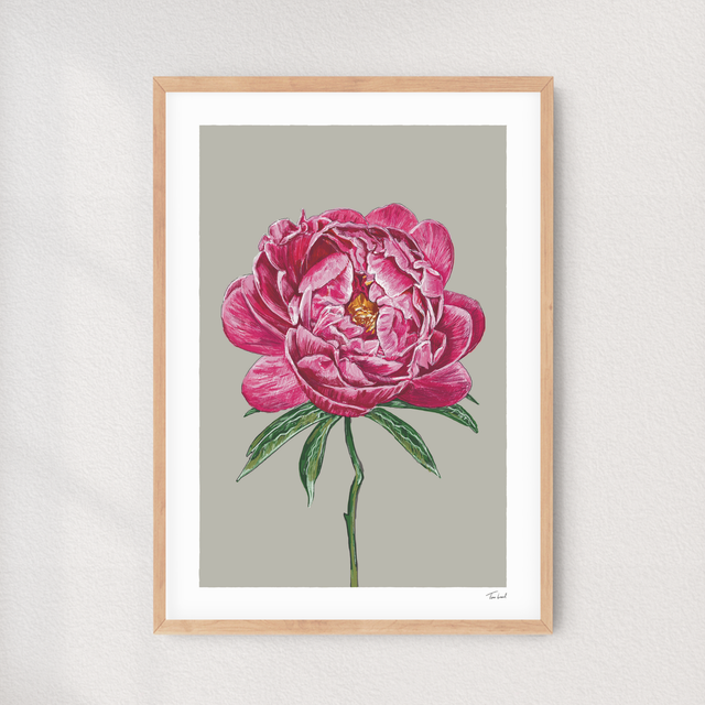 'Coral Charm' Peony art print