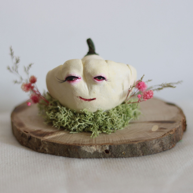 Célestin, courge patisson sur son rondin en bois naturel  