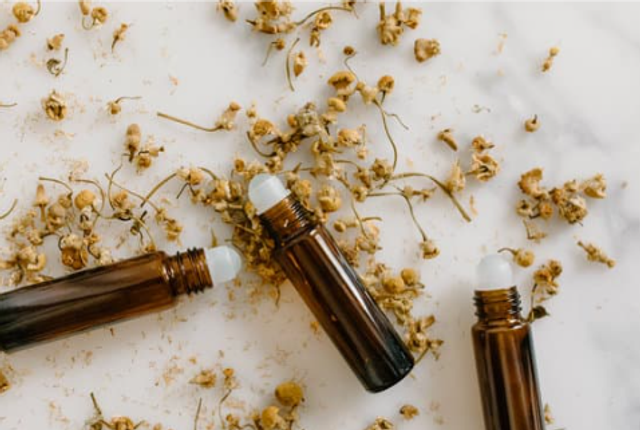 Carte de 10 Ateliers naturo à L'Inattendu 2025-2026