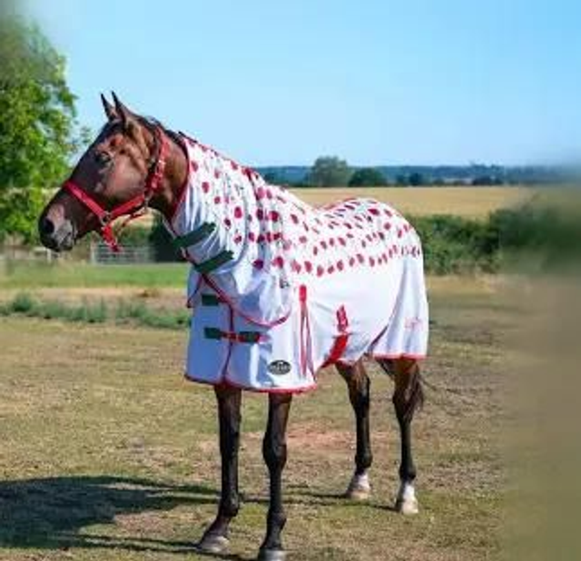 Gallop Berries &amp; Cherries Combo Fly Rug