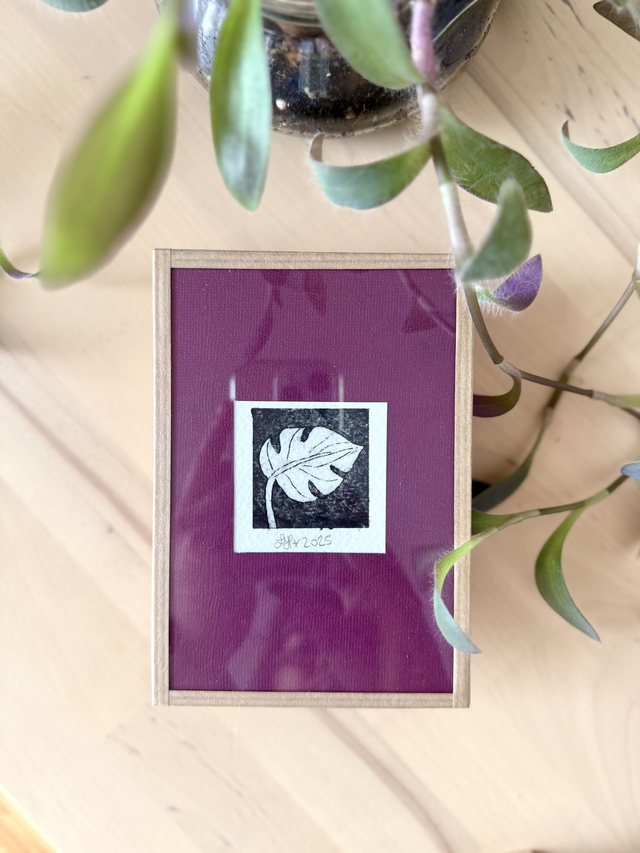 Monstera petite feuille - Petite estampe encadrée 10x15 cm