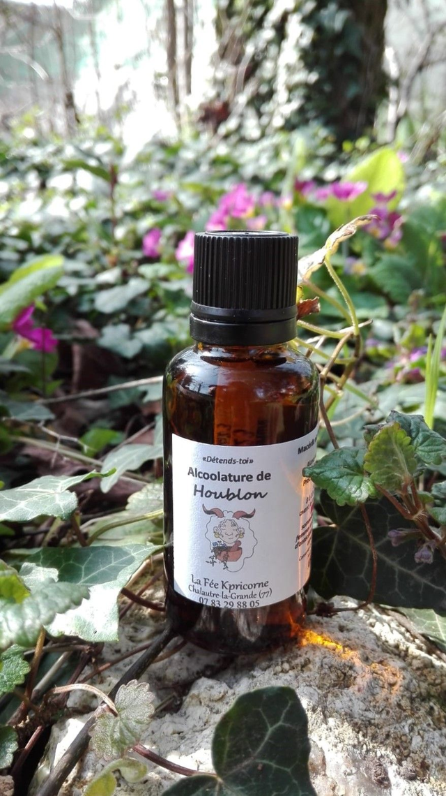 MACERAT ALCOOLIQUE de Houblon [BIEN-ETRE Détente] 30ml