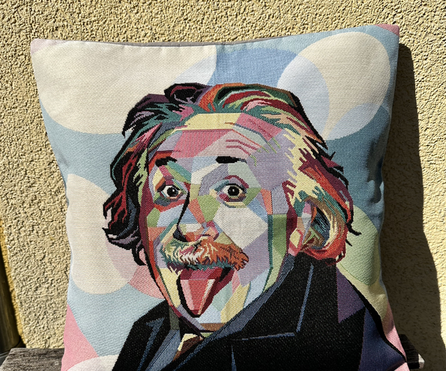 Fourre de coussin Einstein 