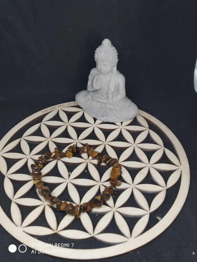 Bracelet œil de tigre chips 