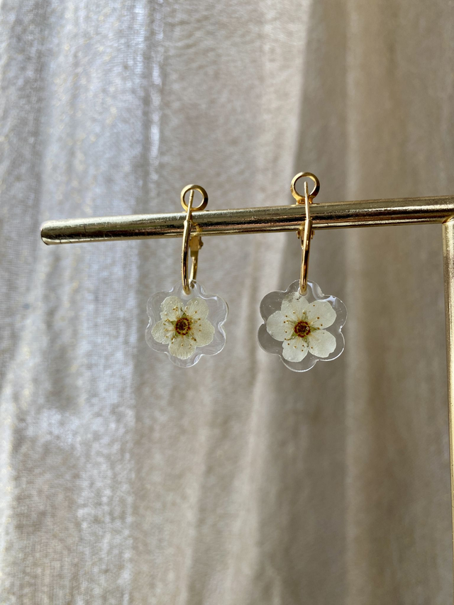 Créoles fleurs pleines - spirée