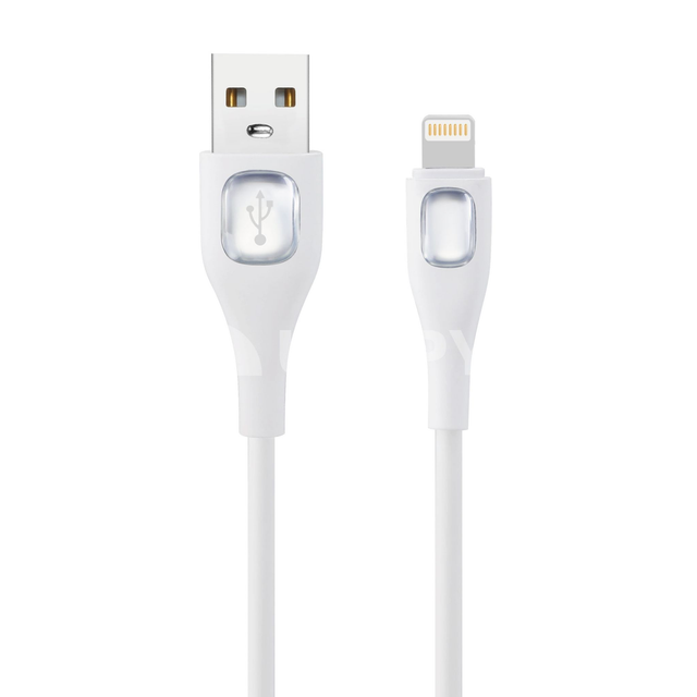 Câble USB vers Lightning 1m