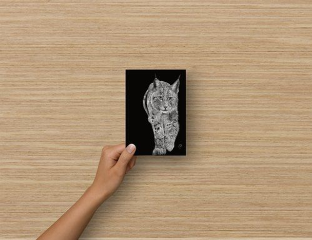 Carte Postale - Lynx des Balkans (reproduction Aquarelle)