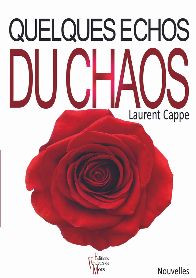 Quelques Echos du Chaos, de Laurent Cappe
