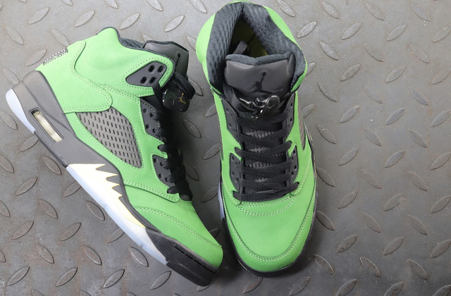 Air Jordan 5 SE”Oregon”