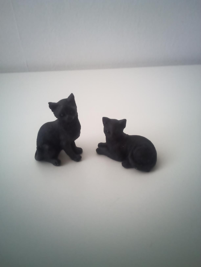 Petit chat noir