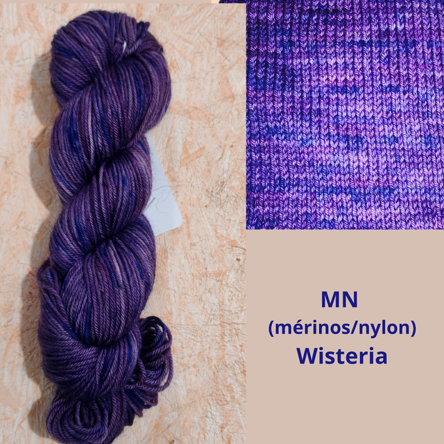 MN Wisteria