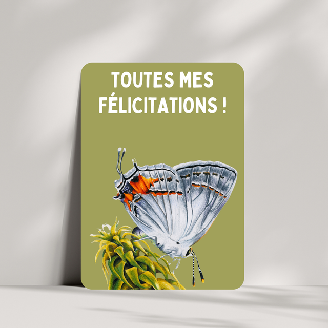 Carte de vœux - &quot;Toutes mes Félicitations&quot;
