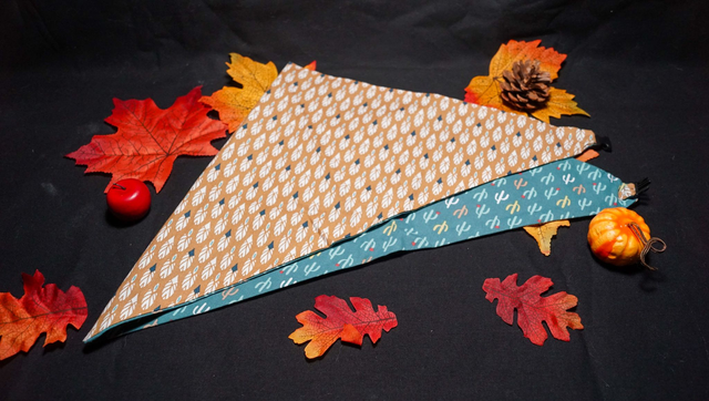 Foulard double face Plume / Cactus