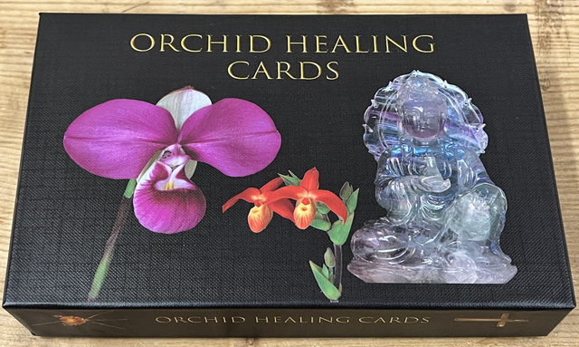 Living Tree Orchid Essences Orchid Healing Cards