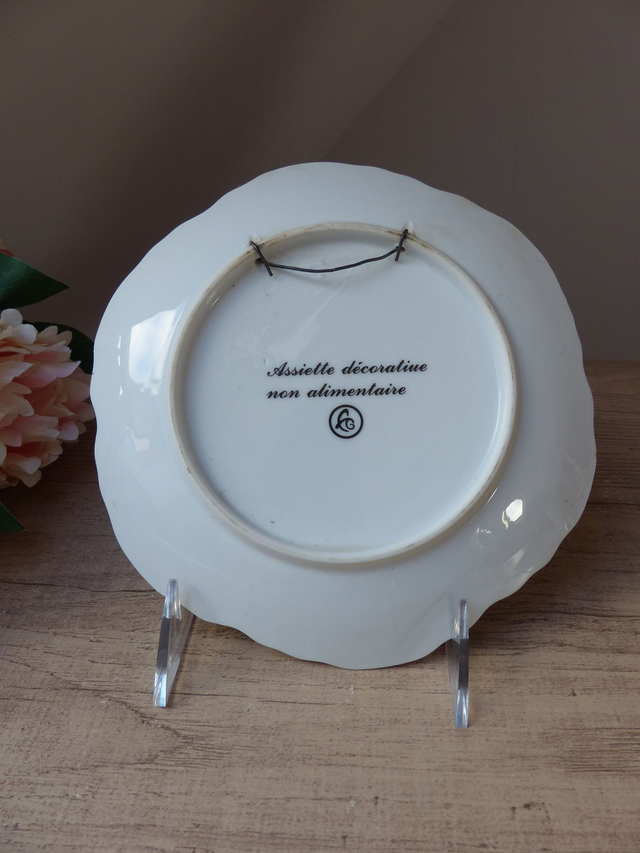 Assiette décorative les vieux métiers Porteur d'Eau au XVIIIème Siècle, petit métier du Paris d'Autrefois Vintage