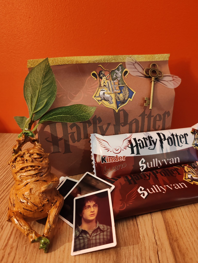 Box anniversaire HARRY POTTER