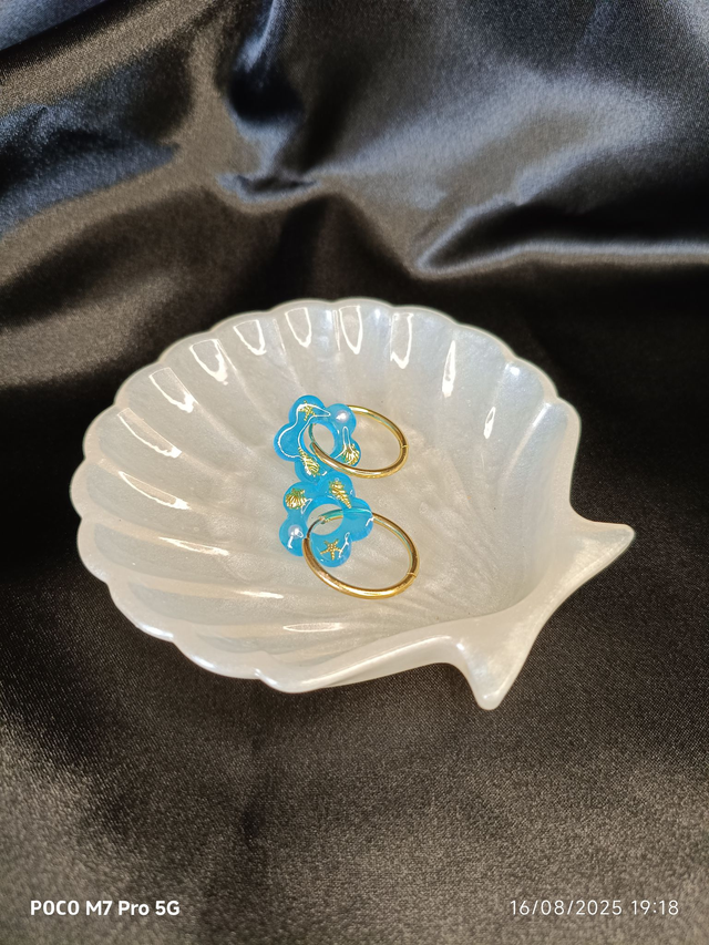 Coquille st jacques blanc nacré 