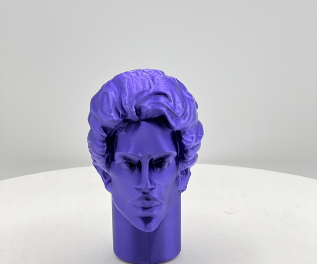 Prince wheelchair mod 