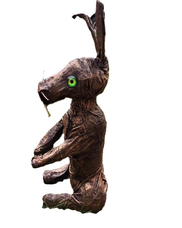 Rabbit or hare