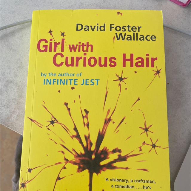 Girl With Curious Hair – David Foster Wallace