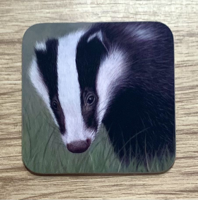 Coaster - Badger