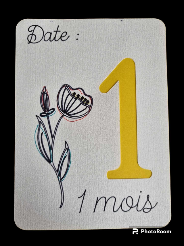 Cartes étapes de grossesse