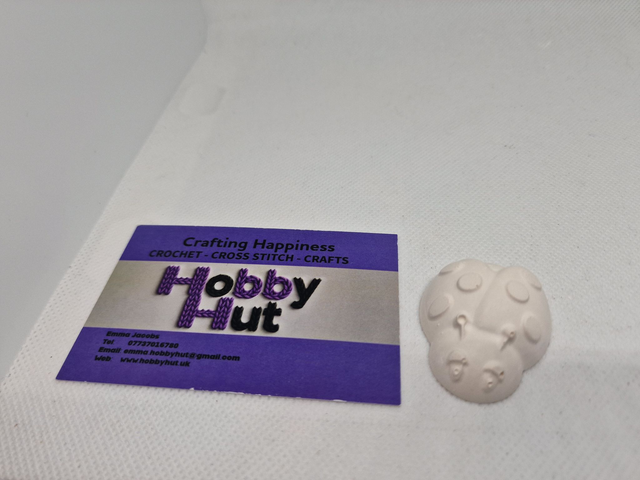 Paint-Your-Own Ladybird