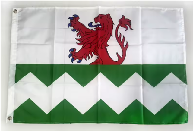 Grote vlag Westland (150x90cm)