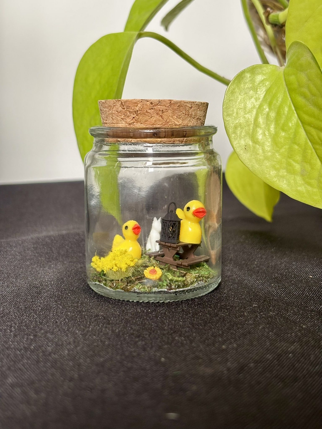 🍃 Mini terrarium verre - Édition été - Canard