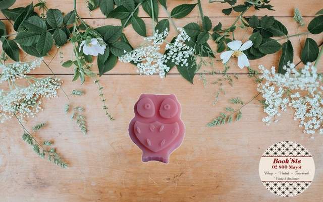 Fondant parfumé " Astro poisson "