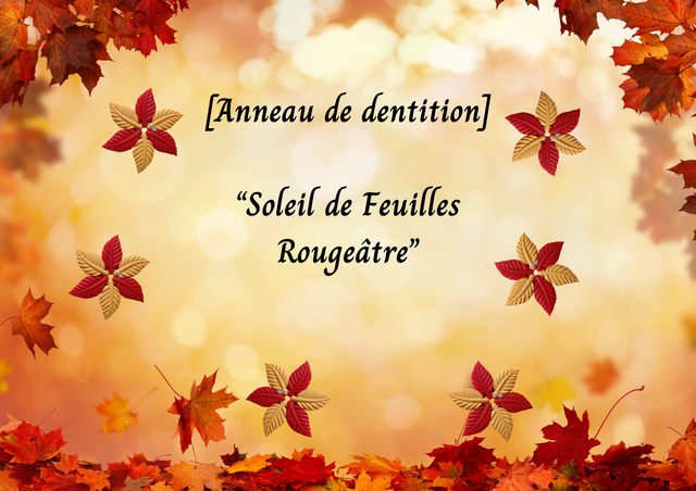  🔆Soleil🌿de🔆feuilles