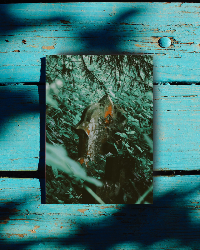 Auburn in the Foliage