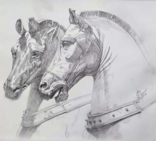 Cavalli di San Marco - Venezia