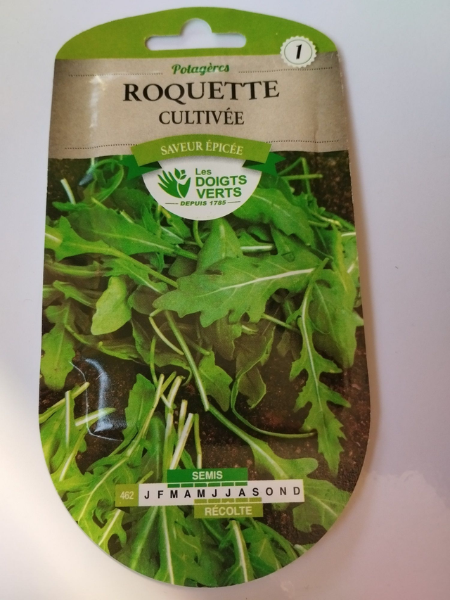 Roquette Cultivée