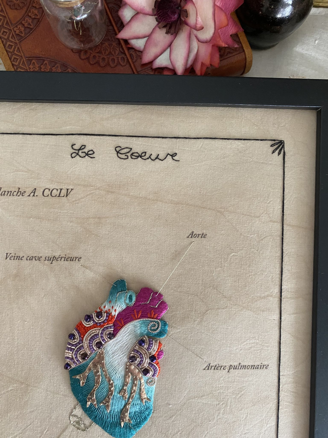 Planche anatomique cclv le coeur dégradé bleu