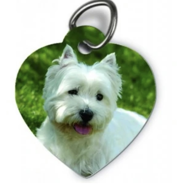 Médaille pour animaux