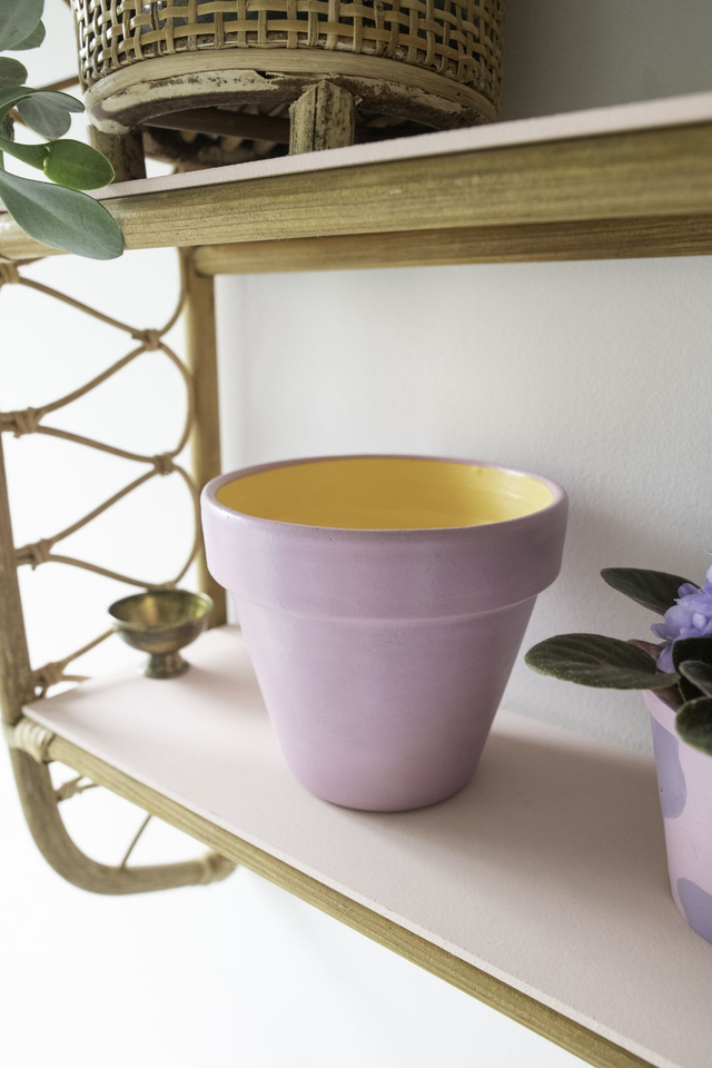 Bicolor Juicy 🍑 Pot peint à la main