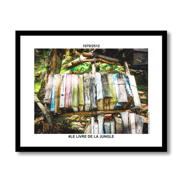 1070/2512 #LE LIVRE DE LA JUNGLE