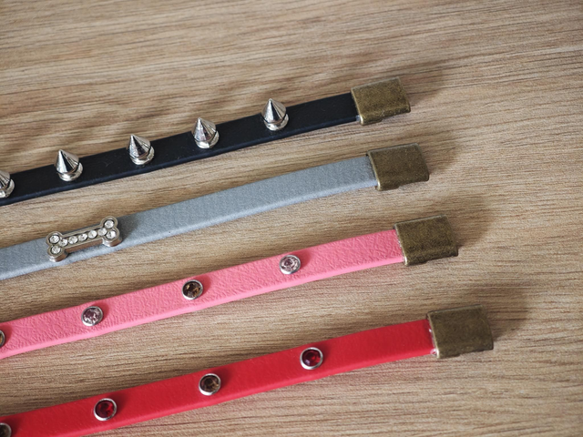 Bracelet biothane 9mm de largeur + décoration