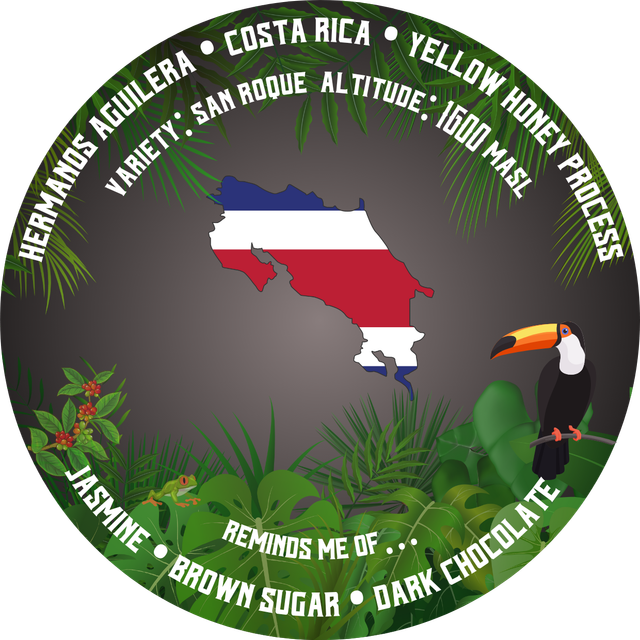 Hermanos Aguilera | Costa Rica | Yellow Honey