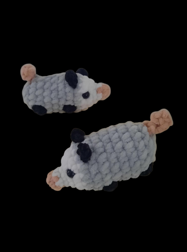Opposum