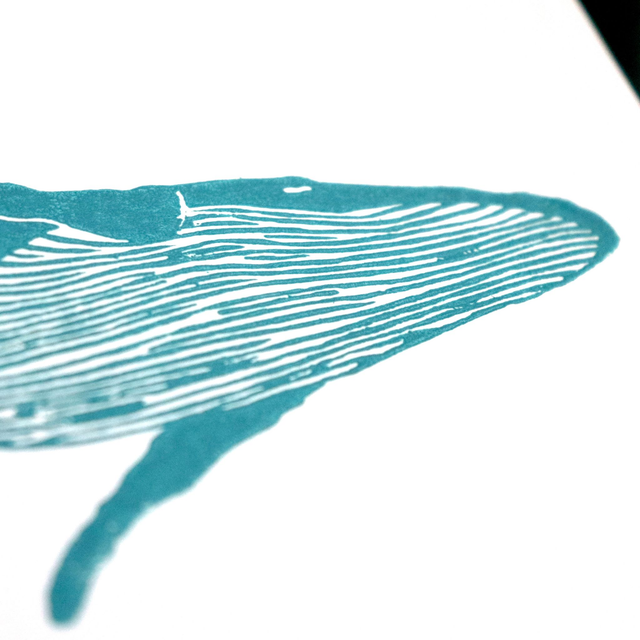 Linogravure A5 Baleine (5 coloris)