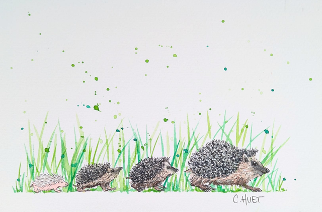 Tableau à l'aquarelle la famille hérisson