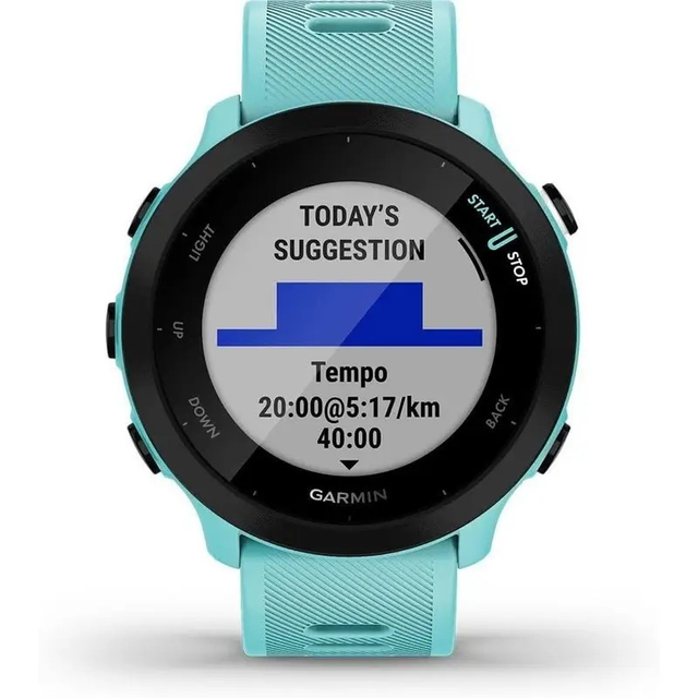 Smartwatch, Garmin Forerunner 55 GPS 