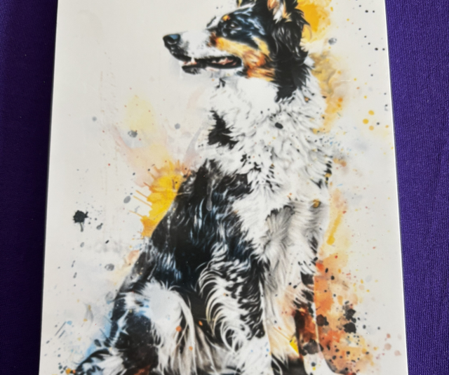 Plain Note Pad  Dog Collie