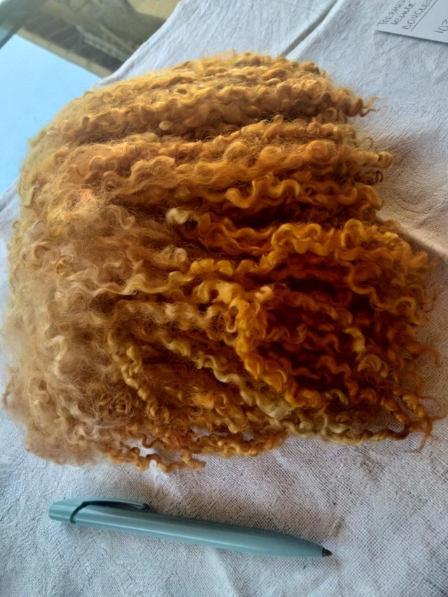 Boucles0189 Teeswater anglais 103g